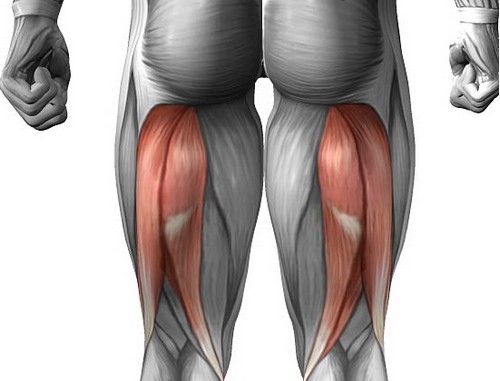 Полусухожильная мышца ног упражнения thumbnail