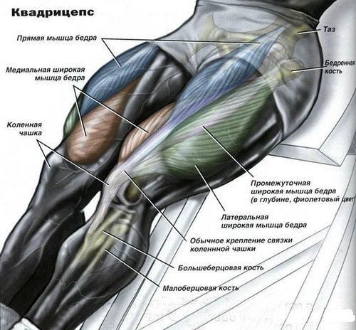 Упражнения четырехглавой мышцы бедра с рисунками thumbnail