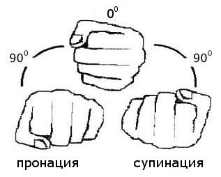 Виды хватов для выполнения упражнения.