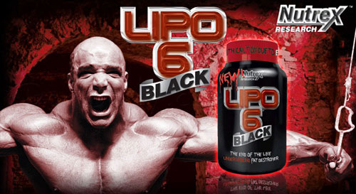 Состав и дозировка жиросжигателя Lipo 6х Black от Nutrition