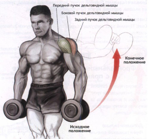 Как выполняется данное упражнение