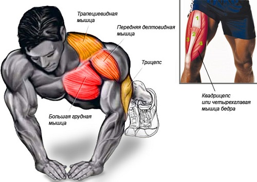 Упражнение охватывает сразу несколько групп мышц, в зависимости от техники выполнения