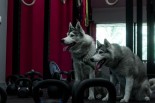 Кроссфит-зал «CrossFit Husky», Новосибирск: фото 5