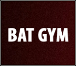 24057_trenazhernyy-zal-bat-gym