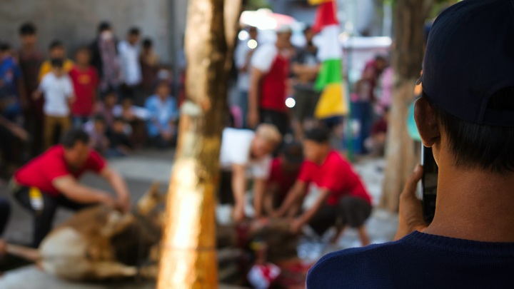 Курбан-байрам в 2025 году: история и традиции праздника жертвоприношения