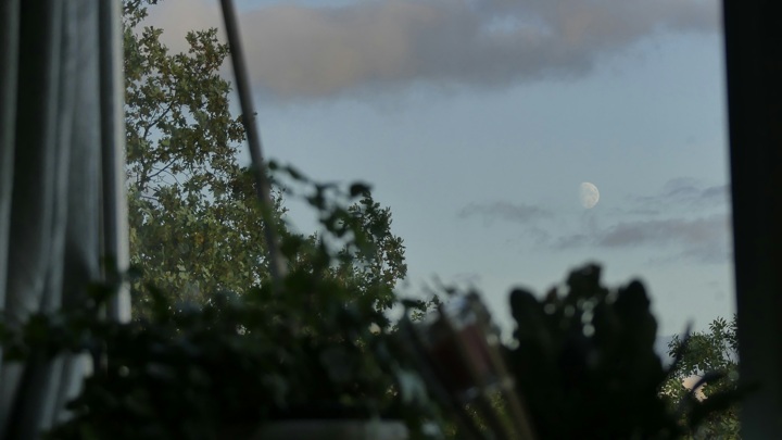 Лунный календарь на 2025 год: подробный посевное руководство для садоводов и огородников