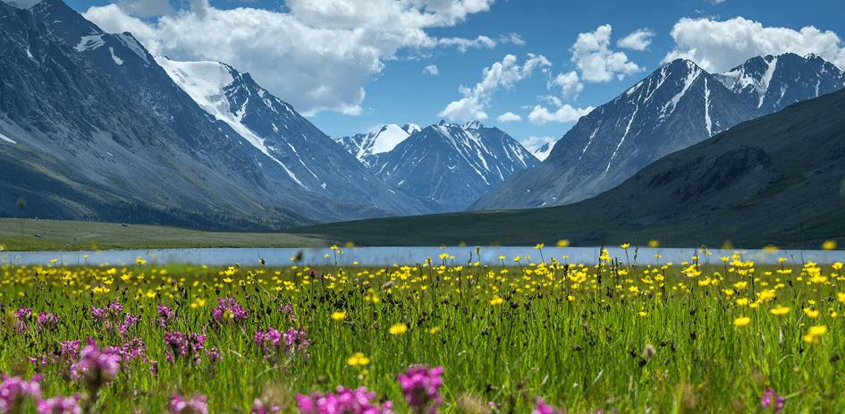 Индивидуальные туры в Горный Алтай: путешествие в сердце дикой природы