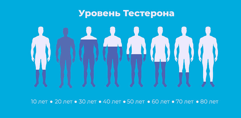 Свободный и общий тестостерон: в чем разница и какой анализ важнее